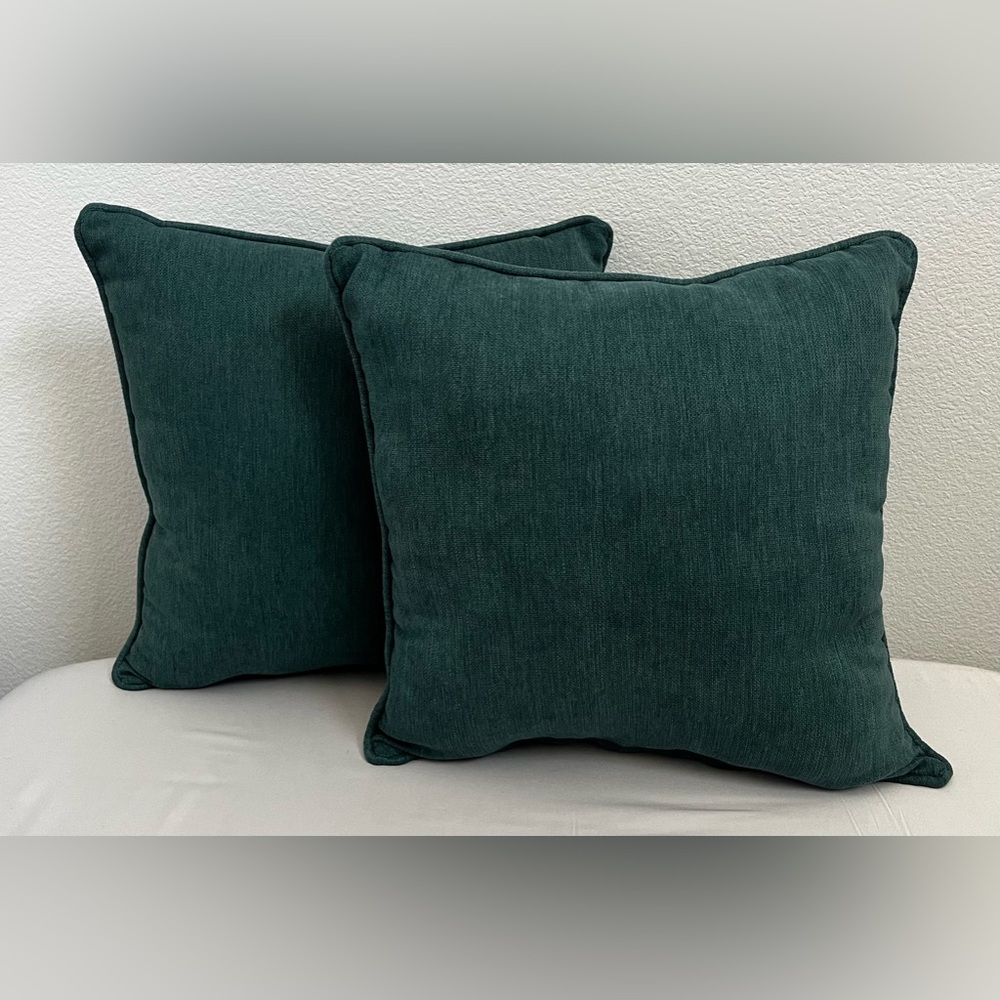 Set of 2 Couch Pillows